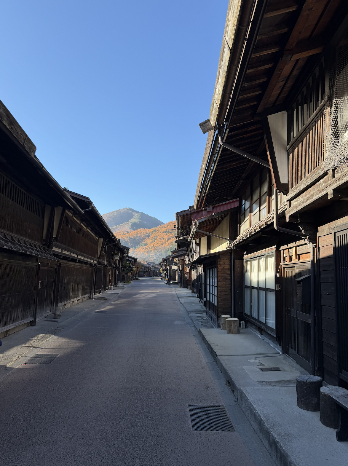 Woodland section near Torii Pass on the Nakasendo