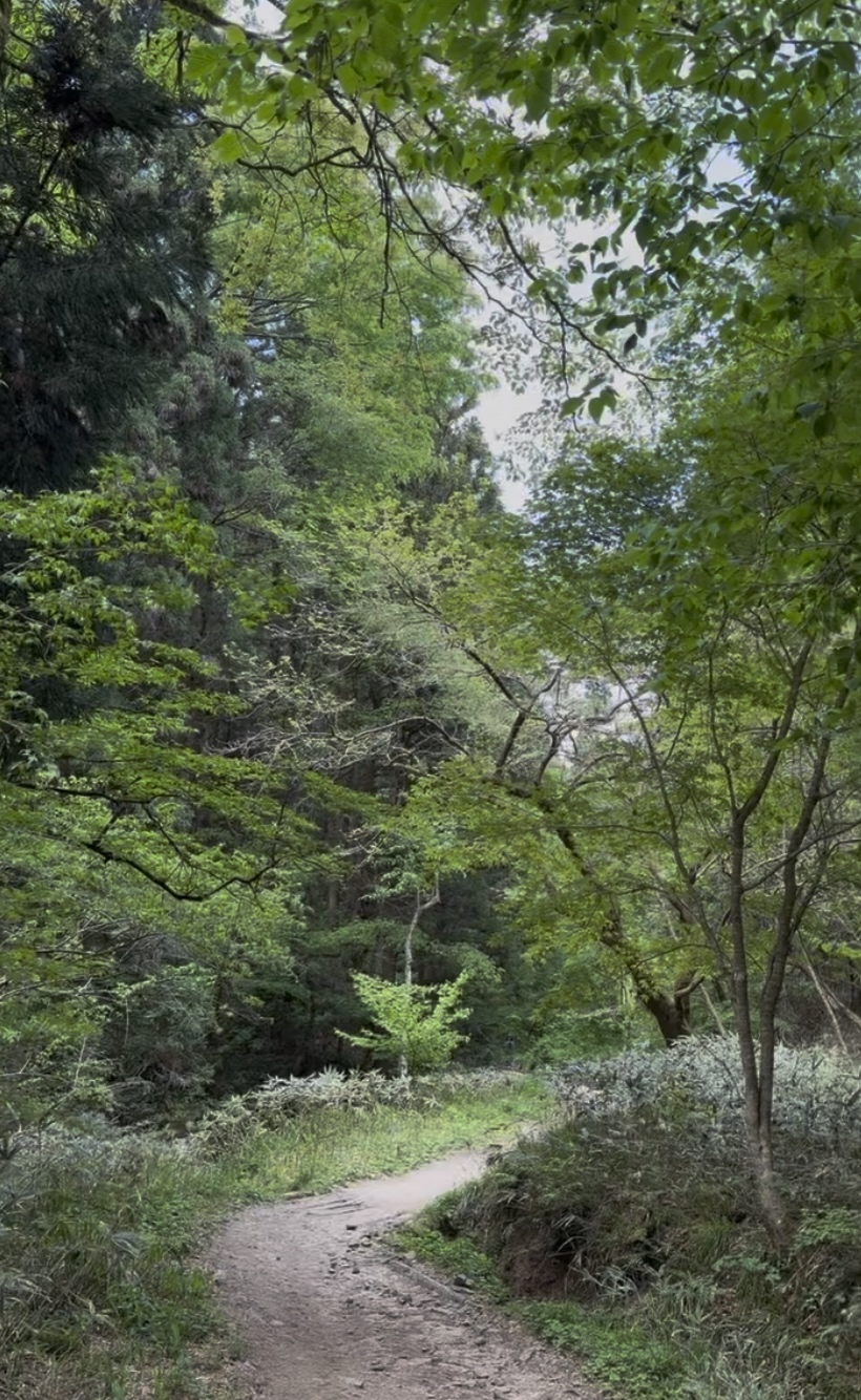 Clear mountain water flowing along the Nakasendo